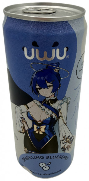 Erfrischungsgetränk Blauberry, 330 ml